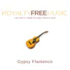 Royalty Free Music: Gypsy Flamenco album lyrics, reviews, download