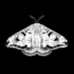 Myler - Peeling Oranges With Your Face (Ansome Remix)