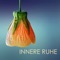 Meditationsmusik - Innere Ruhe Consort lyrics