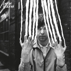 Peter Gabriel - D.I.Y.