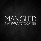 NateWantsToBattle - Hold on to You