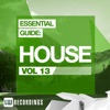 Essential Guide: House, Vol. 13, 2015