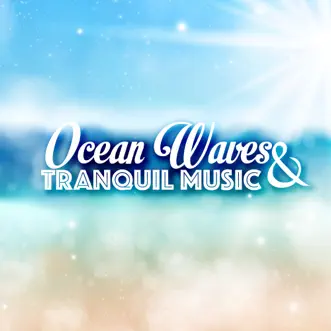 Sounds of the Ocean & Tibetan Singing Bowls by Tranquil Music Sound of Nature song reviws