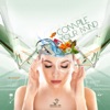 Compile Your Mind - compiled by DJ Raveoholic