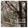 Valley of Bones