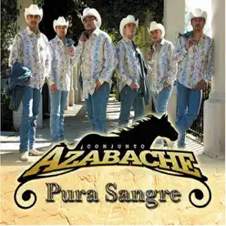 Pura Sangre - Conjunto Azabache Pura Sangre - Conjunto Azabache