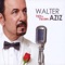 Mood Lelewa (Remix) - Walter Aziz lyrics