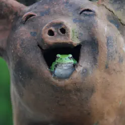 Too Much Laughter - Underline