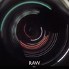 Raw, Vol. 1