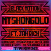 Mtshongolo (feat. Jah Rich) [Remixes] - Single - Black Motion