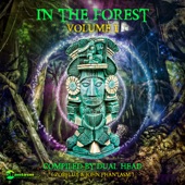 In the Forest, Vol. 1 - compiled by Dual Head (aka Zorflux & John Phantasm) artwork