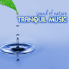 Tranquil Music - Sound of Nature Relaxation Soundscapes - Tranquil Music Sound of Nature & Nature Sounds