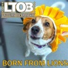 Born from Lions
