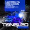 Downfall (Ruslan Device Radio Edit) - Liam Melly & Mike Lockin lyrics