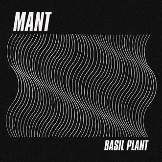 Basil Plant - Single by MANT album reviews, ratings, credits