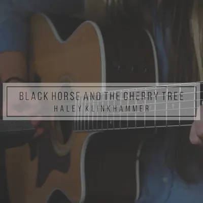 Black Horse and the Cherry Tree - Single - Haley Klinkhammer