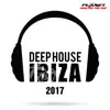 Where's Your Love (feat. Alvin River) [Ibiza Chillout Mix] song lyrics