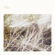 A Hand Through the Cellar Door - Luke Temple