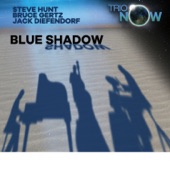 Blue Shadow artwork