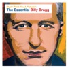 Must I Paint You a Picture?: The Essential Billy Bragg artwork