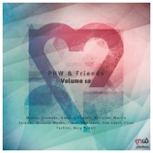 PHW & Friends, Vol. 10 artwork