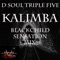 Kalimba (BlackChild Sensation Mix) - D Soul Triplefive lyrics