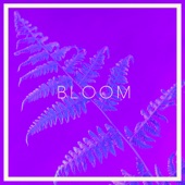 CLAVVS - Bloom