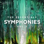 Symphony No. 2 in D Major, Op. 73: I. Allegro non troppo artwork