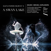 Enter the Lake (feat. Norwegian National Opera Orchestra & Per Kristian Skalstad) artwork