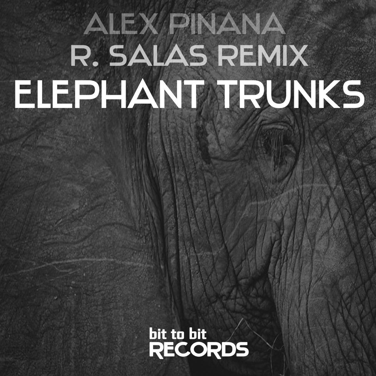 Песня elefante. Слон слушает музыку.