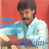 Salsa, Solamente Salsa artwork