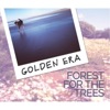 Forest for the Trees