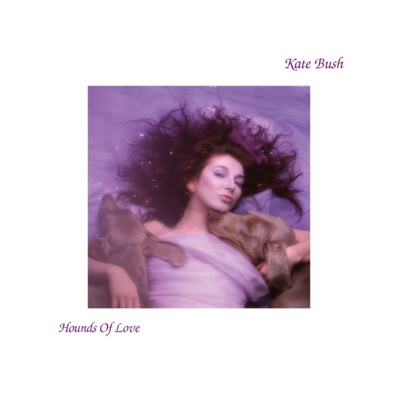 Cover artwork for Cloudbusting