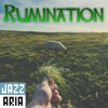 Rumination - Single