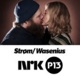 NRK – Strøm/Wasenius