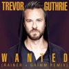 Wanted (Rainer + Grimm Remix) - Single