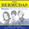 Blue Dreamer - The Bermudas lyrics