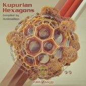 Kupurian Hexagons artwork