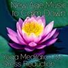 New Age Music to Calm Down - Yoga Meditation for Stress Reduction (Soothing Ocean Waves, Morning Birds Song, Calming Rain Sound, Natural Ambient) Healing Therapy to Reach Relax and Tranquility