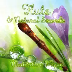 Flute & Natural Sounds Meditation Music: American Native Flute for Relax, Massage, Spa and Sleeping Trouble by Mantra Yoga Music Oasis album reviews, ratings, credits
