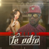 Te Odio - EP artwork