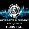 Tears Fall (feat. Junior) - Single album lyrics, reviews, download