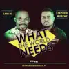 What the World Needs (feat. Brenda N) - Single album lyrics, reviews, download