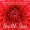 Wellness Spa - John Spa Williams lyrics