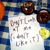 The Lovely Eggs - Don't Look At Me (I Don't Like It)