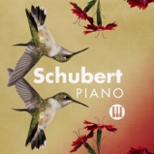 Schubert Piano artwork