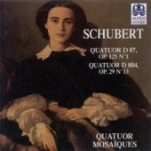 Schubert: String Quartets Nos. 10 & 13 artwork