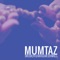 Mumtaz (feat. Mr. Jennings) - Brooklyn Shanti lyrics