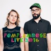 Bust Your Knee Caps by Pomplamoose iTunes Track 2