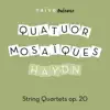 Haydn: String Quartets, Op. 20 album lyrics, reviews, download